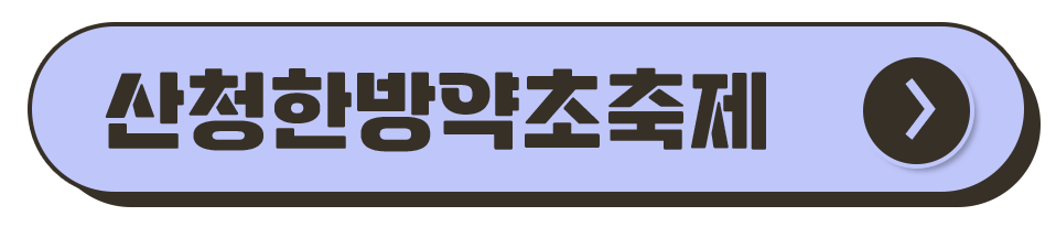 경남 축제 일정