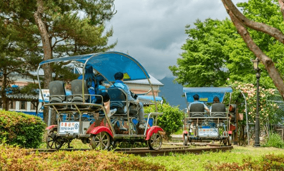 곡성 세계 장미 축제 일정 2024&#44; 초대가수 라인업부터 여행 Tip까지 총정리