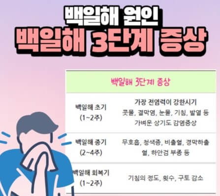 백일해의 증상