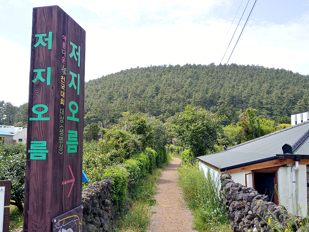 올레길 13코스: 저지오름