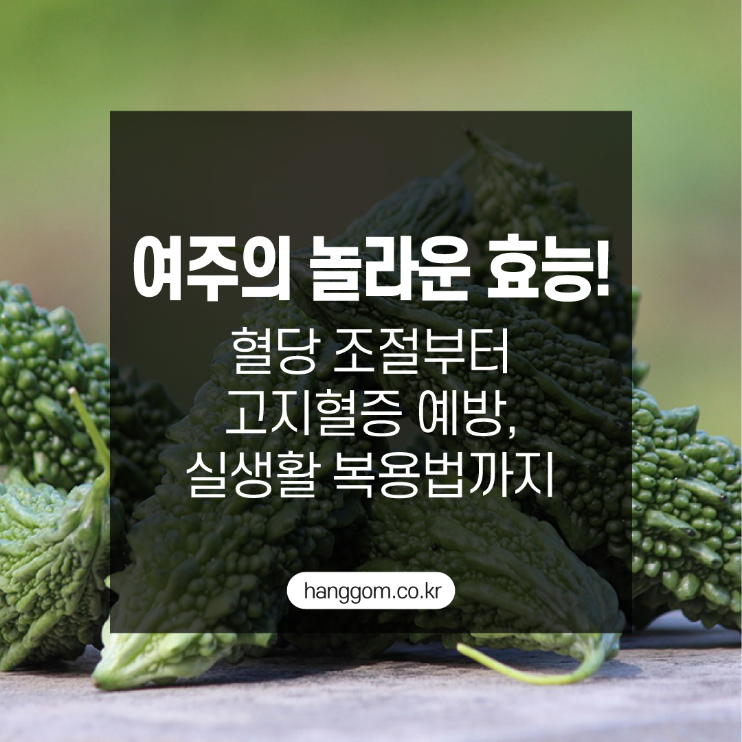 여주의 놀라운 효능! 혈당 조절부터 고지혈증 예방, 실생활 복용법까지 A to Z
