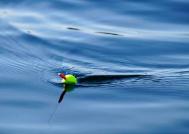 낚시터 창업에 대하여 알아보기