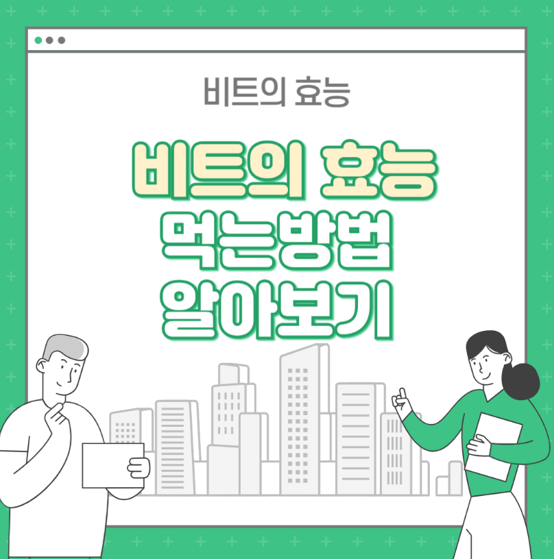 비트의 효능 및 먹는 방법 알아보기