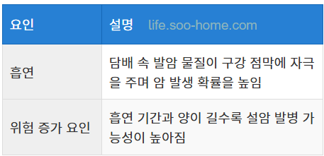 흡연과 설암의 관계