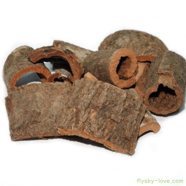 느릅나무껍질 유근피