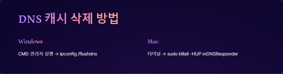 네트워크최적화