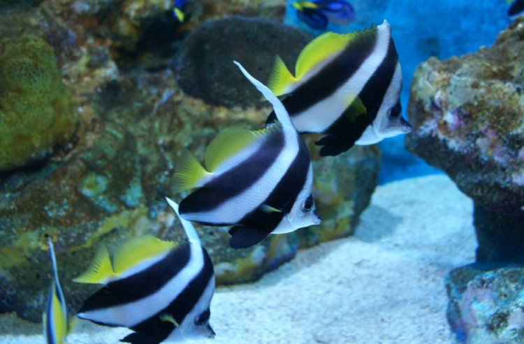 울진 아쿠아리움