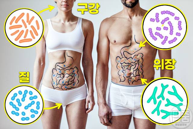 유산균 함량 많은 음식 유산균추천