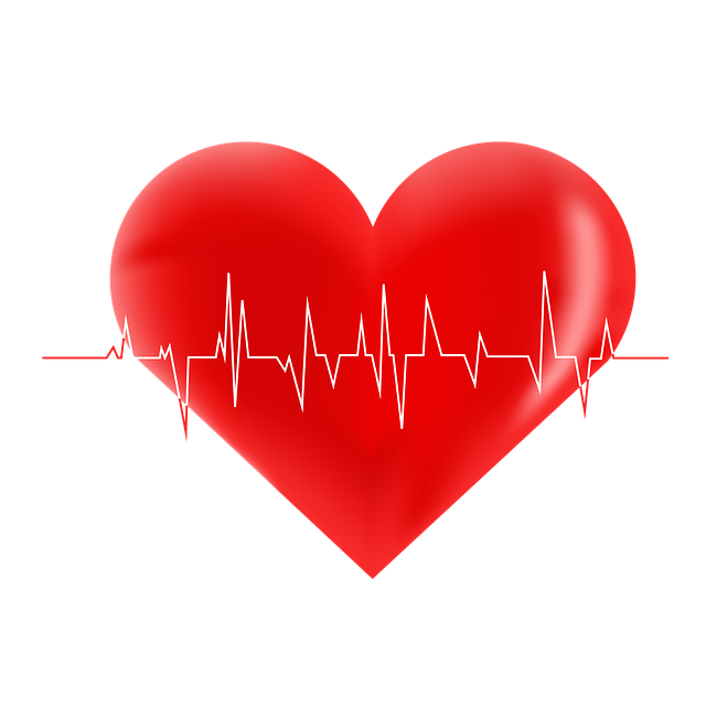 가까운 병원 찾기