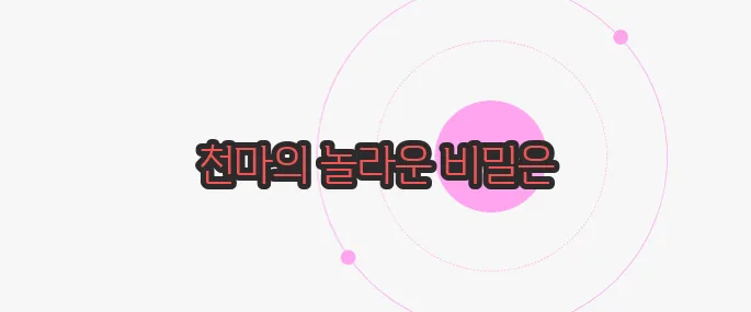 천마 효능 한번 정확하게 알아보도록 하죠