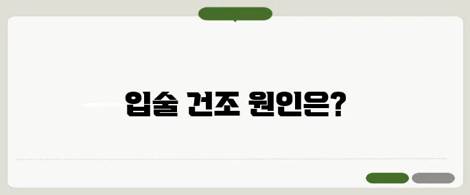 입술이 부르트는 이유 비타민 부족 아닐 수도