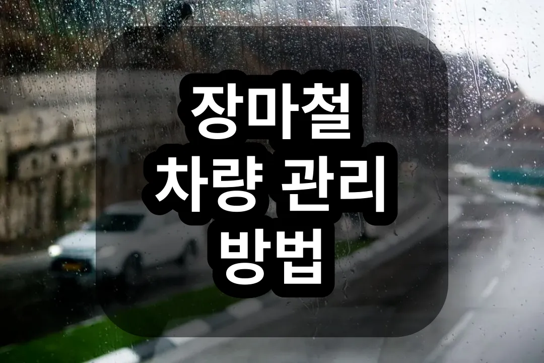 장마철 차량 관리 방법