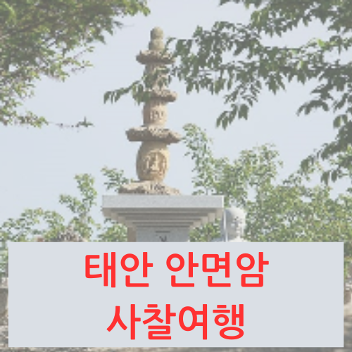 태안 안면암 부상탑&#44; 부교&#44; 물때&#44; 벚꽃개화시기