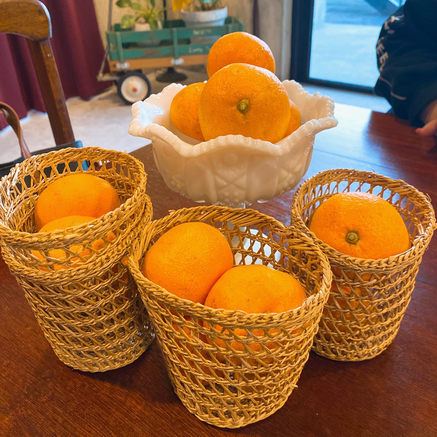 제주 애월 환혼 무수천계곡 트리하우스 웃뜨리 카페