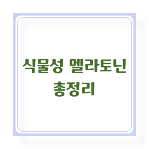 🌿 식물성 멜라토닌, 수면에 좋은 음식부터 영양제까지 총정리!