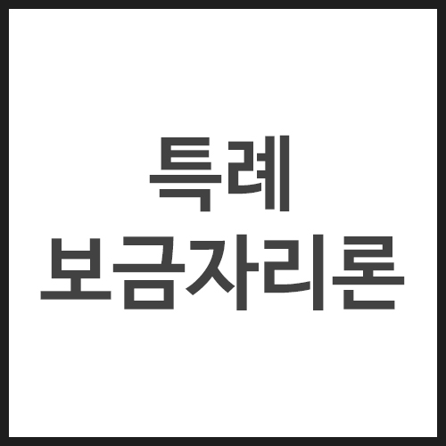 특례보금자리론