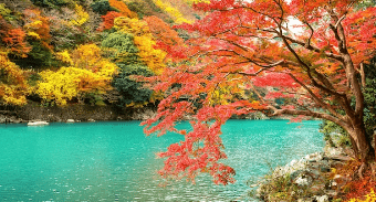 2023λ
λ¨νμκΈ° μμΈ‘μ§λ