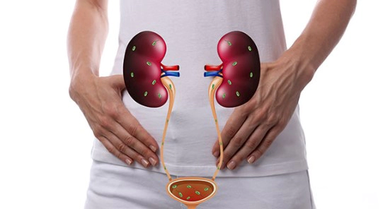 신우신염 치료기간