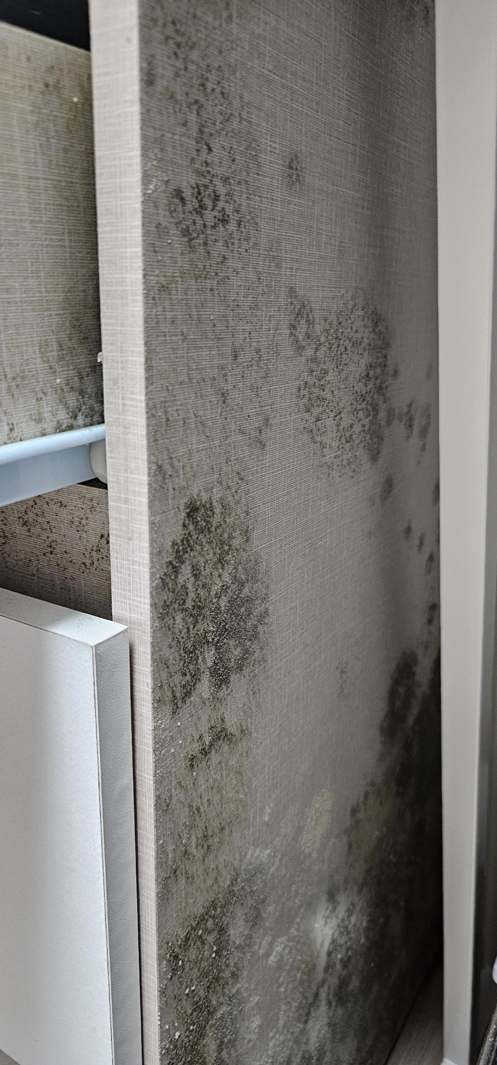 습기방치로-곰팡이-번식(서랍장)