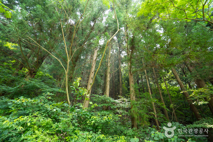 장성 가볼만한곳 베스트 10