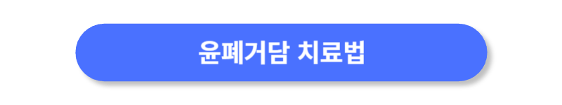 버튼
