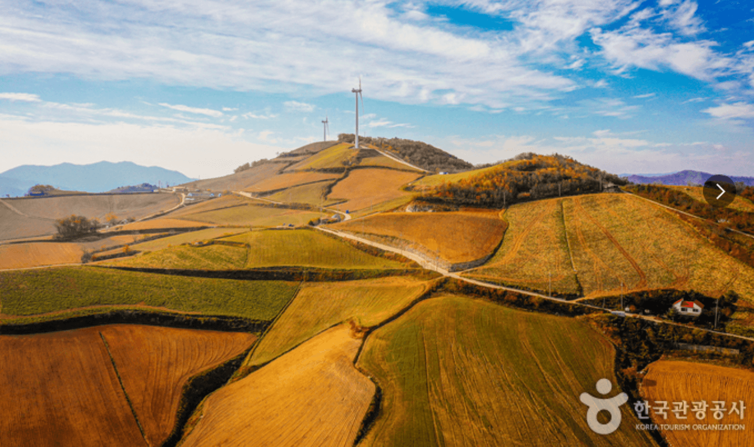 강원도 겨울 반려동물 애견 동반 여행지 추천