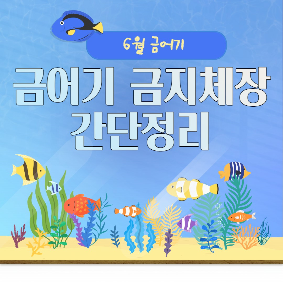 금어기 금지체장 간단 정리