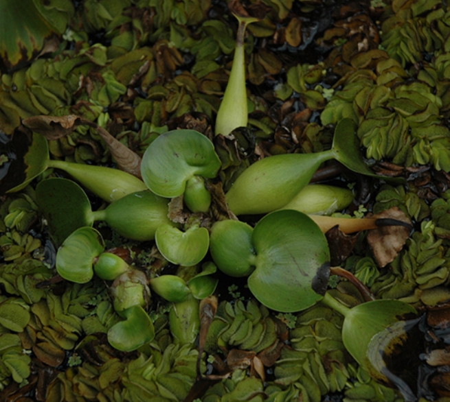 가을여행/가족여행지/추천/전북/대아수목원