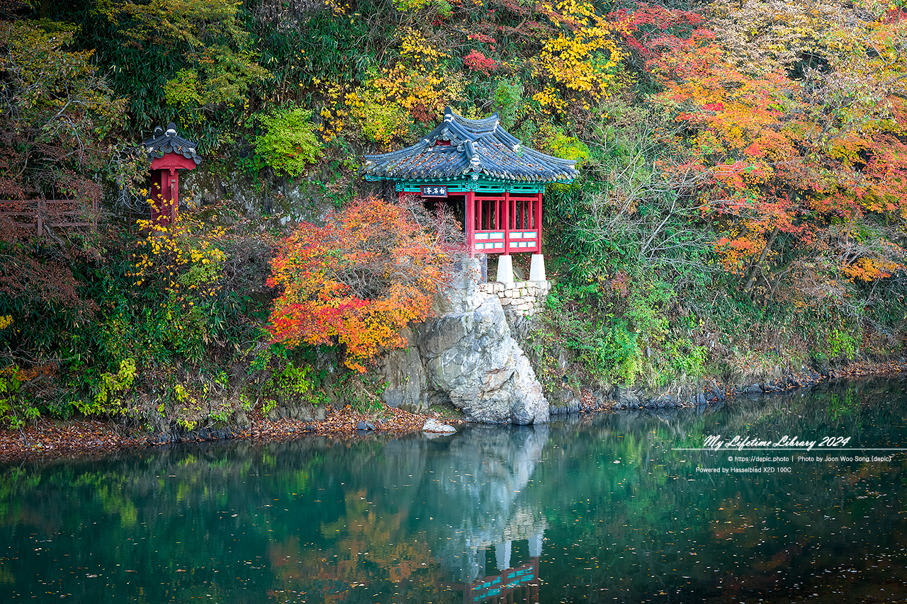 청주 백석정 가을 단풍