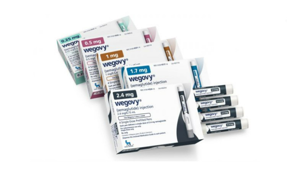 위고비관련사진