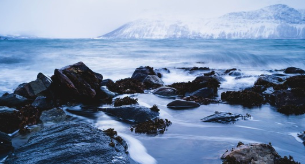 북유럽의 느린 템포 문화가 음악에 미치는 영향