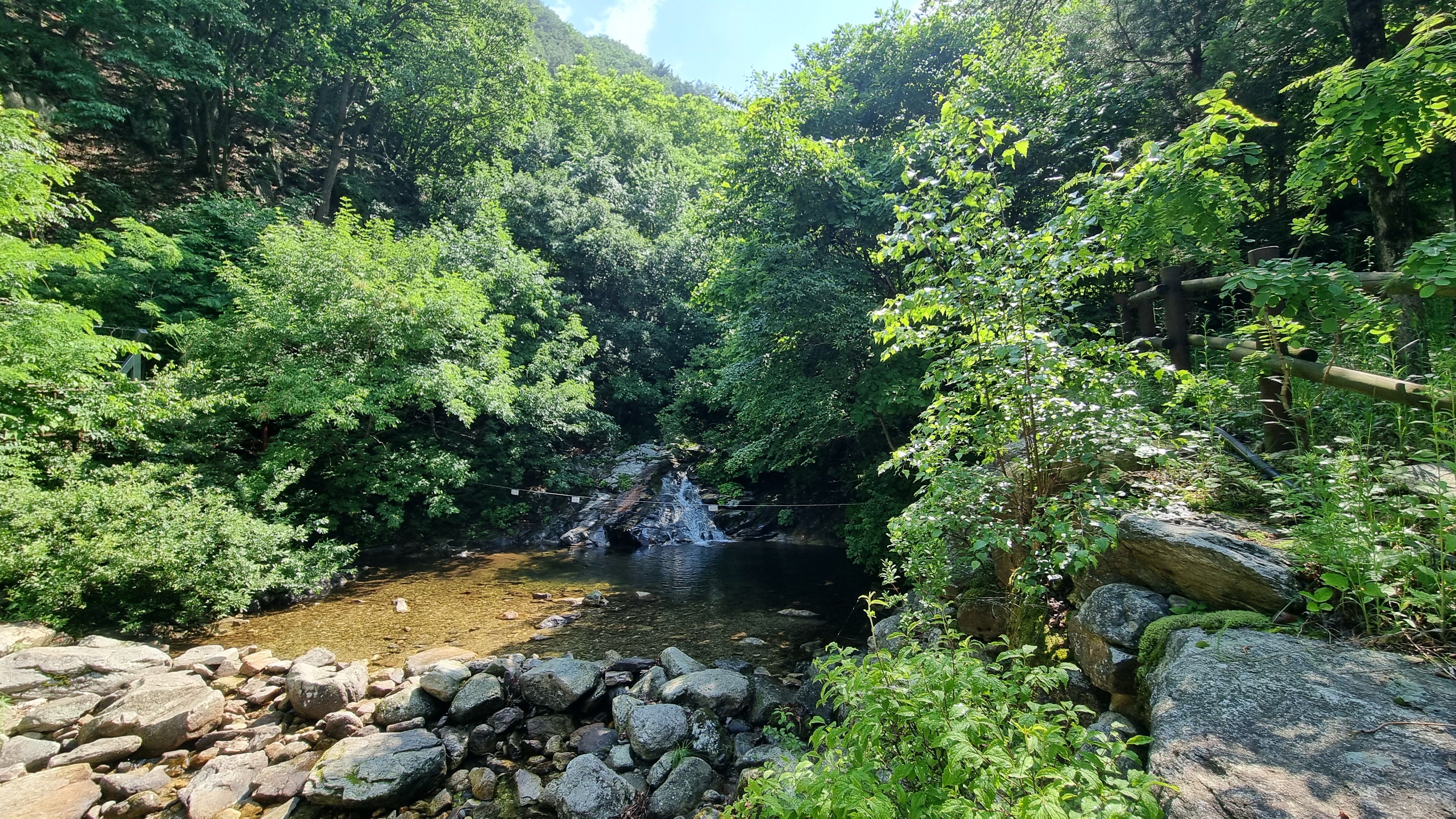 복주산자연휴양림 계곡