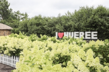 전국 9월 지역 축제 일정 가볼만한곳