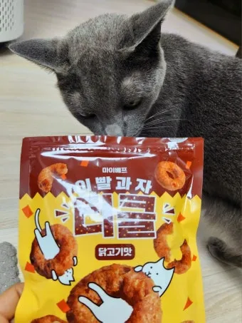 고양이 과자 먹어도 되나요. 이빨과자_10