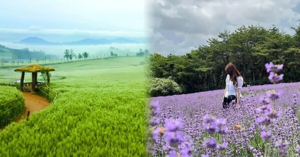 고창 가볼만한곳 베스트10 전북 여행지 추천_1