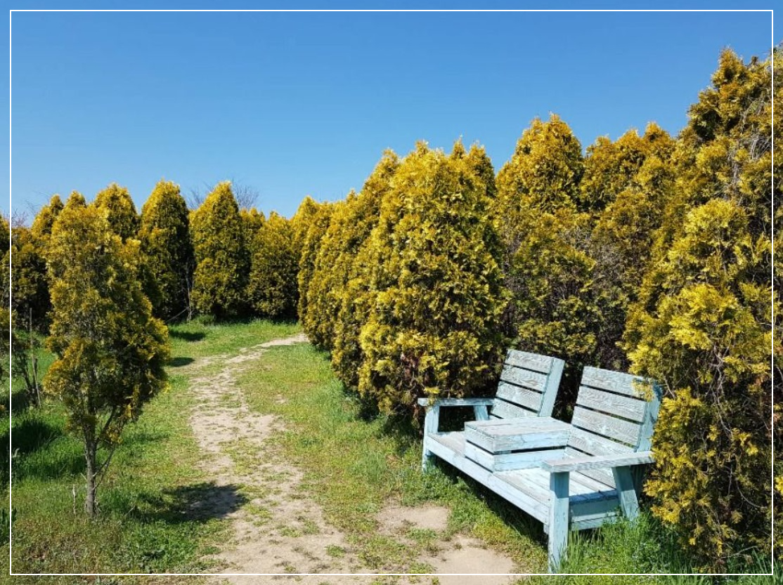 예산 가볼만한곳 베스트10 아그로랜드 태신목장 