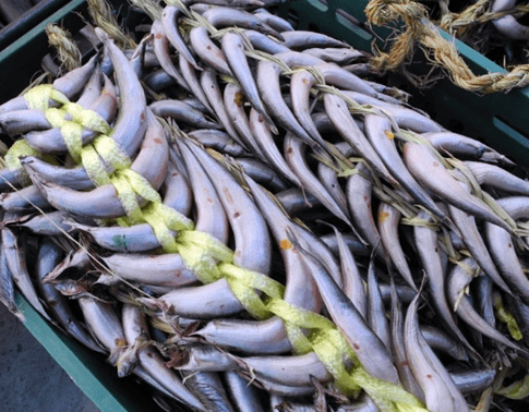 양미리 영양성분