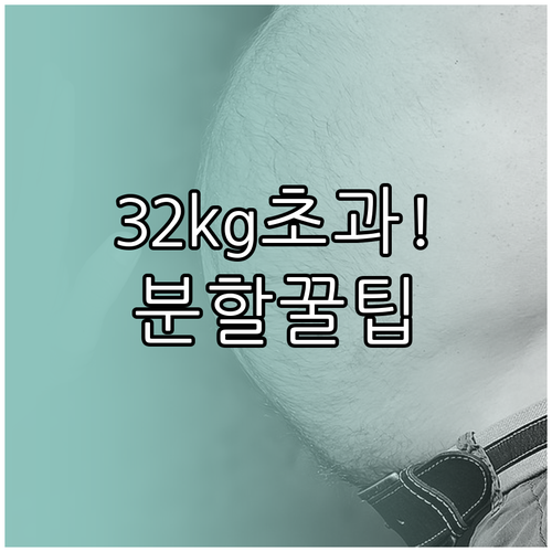이스타항공 위탁수하물 32kg 초과 ..