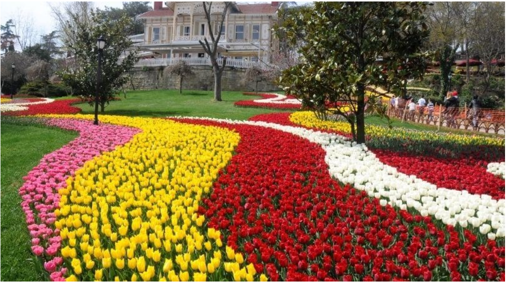 터키 – 이스탄불의 전통 튤립 축제