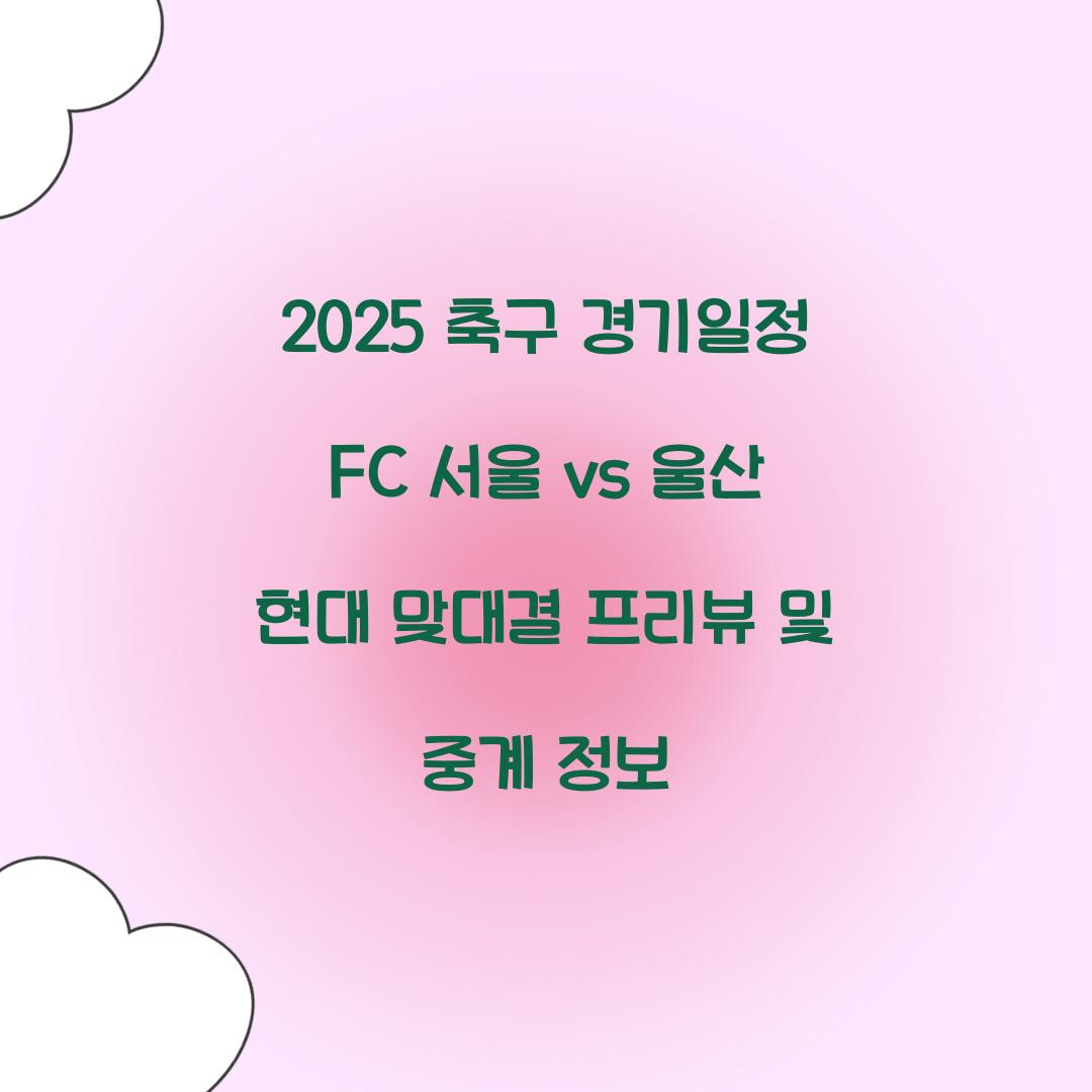 2025 축구 경기일정