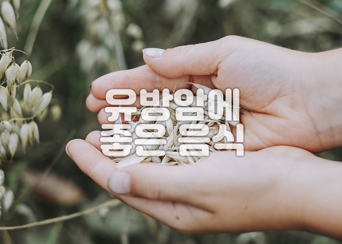 사람이 양손으로 귀리를 감싸쥐고 있다
