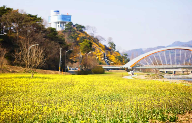 2026 화순 봄꽃축제 주차장 프로그램 이벤트 일정