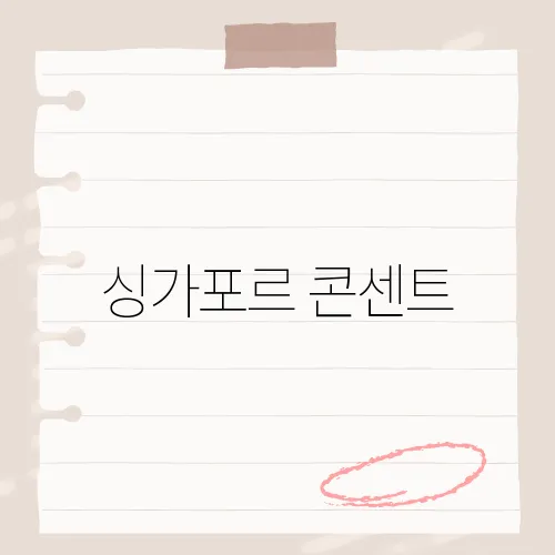 싱가포르 콘센트, G타입 어댑터 필수?