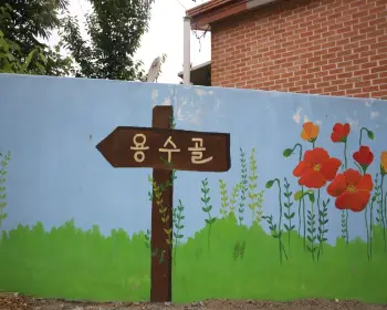 원주 용수골 꽃양귀비 축제_17