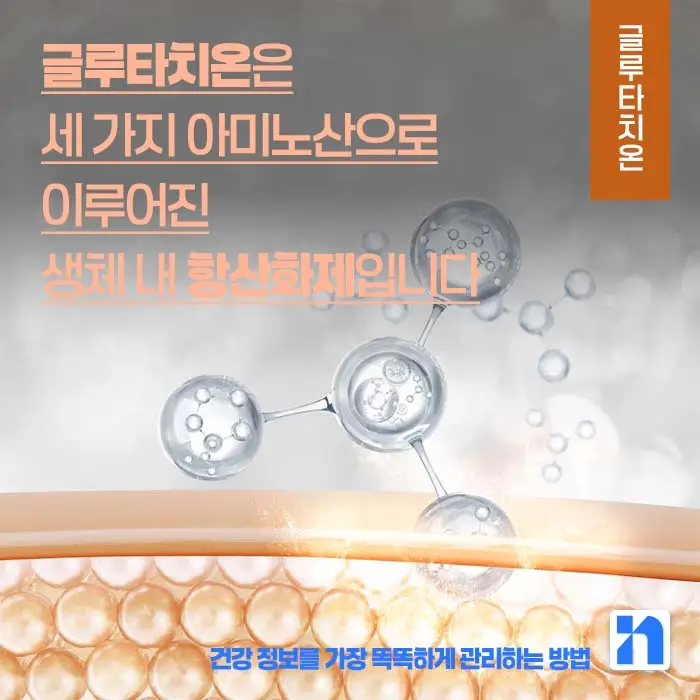 글루타치온 효능