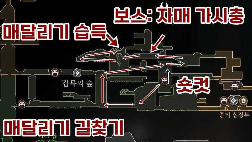 매달리기 배우는 곳