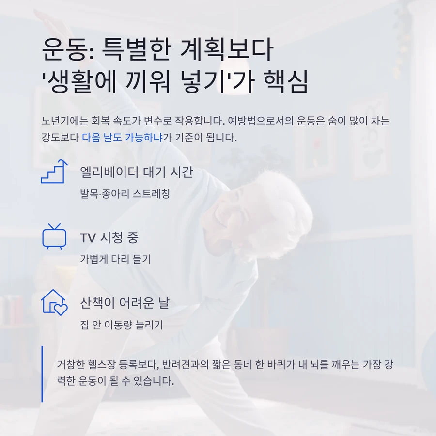 노년기 뇌 건강을 위한 생활 속 가벼운 운동 실천