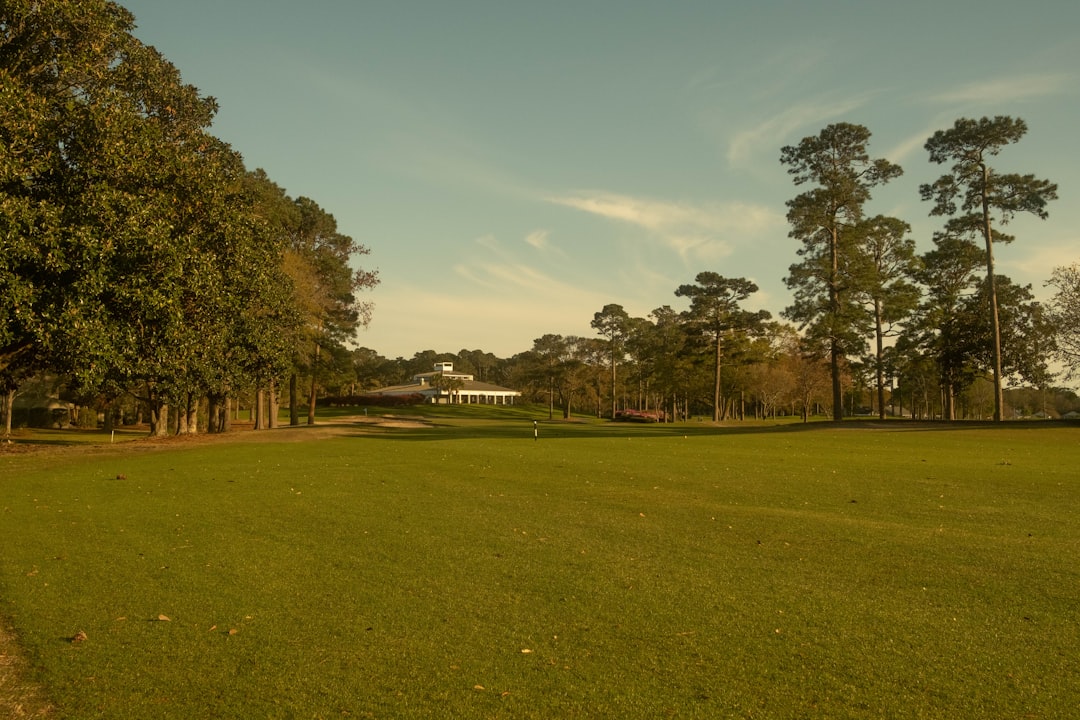 Park golf
