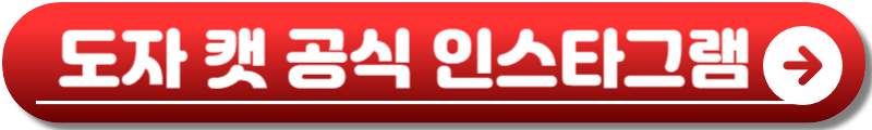 도자캣 내한