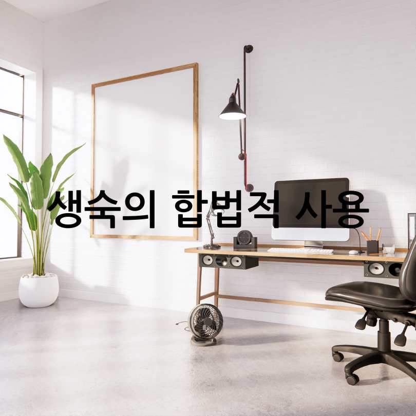 생숙 합법적 사용하기